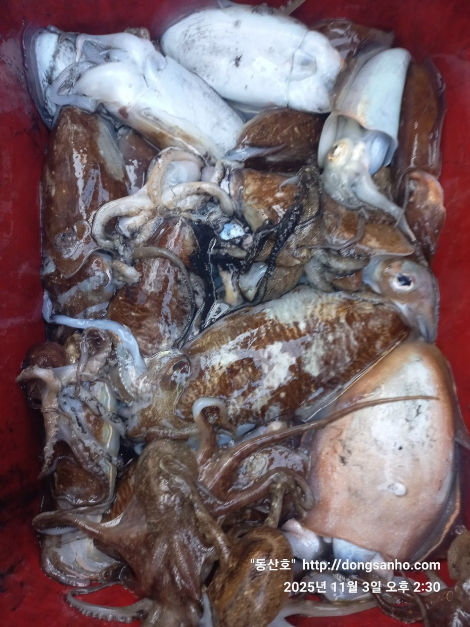 ec09508a30d20fd56dfd984673baca23_1762185