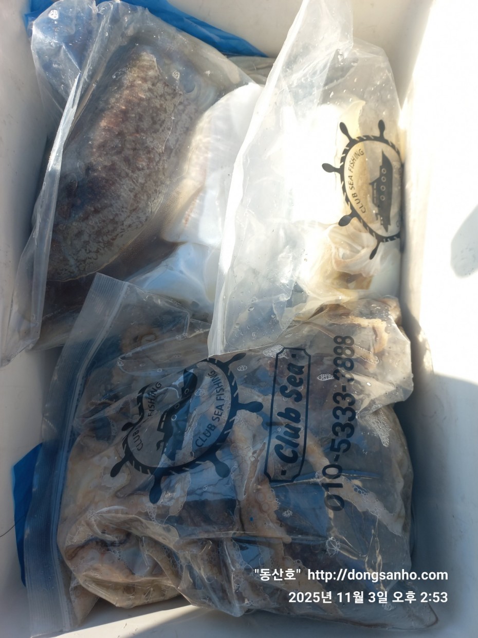 ec09508a30d20fd56dfd984673baca23_1762185