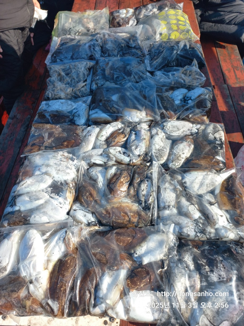 ec09508a30d20fd56dfd984673baca23_1762185