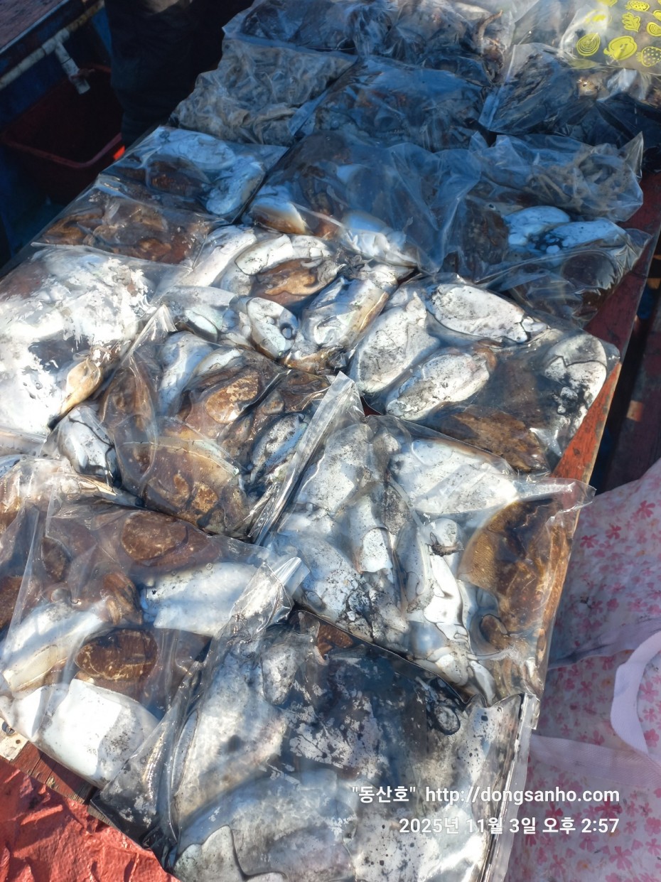 ec09508a30d20fd56dfd984673baca23_1762185