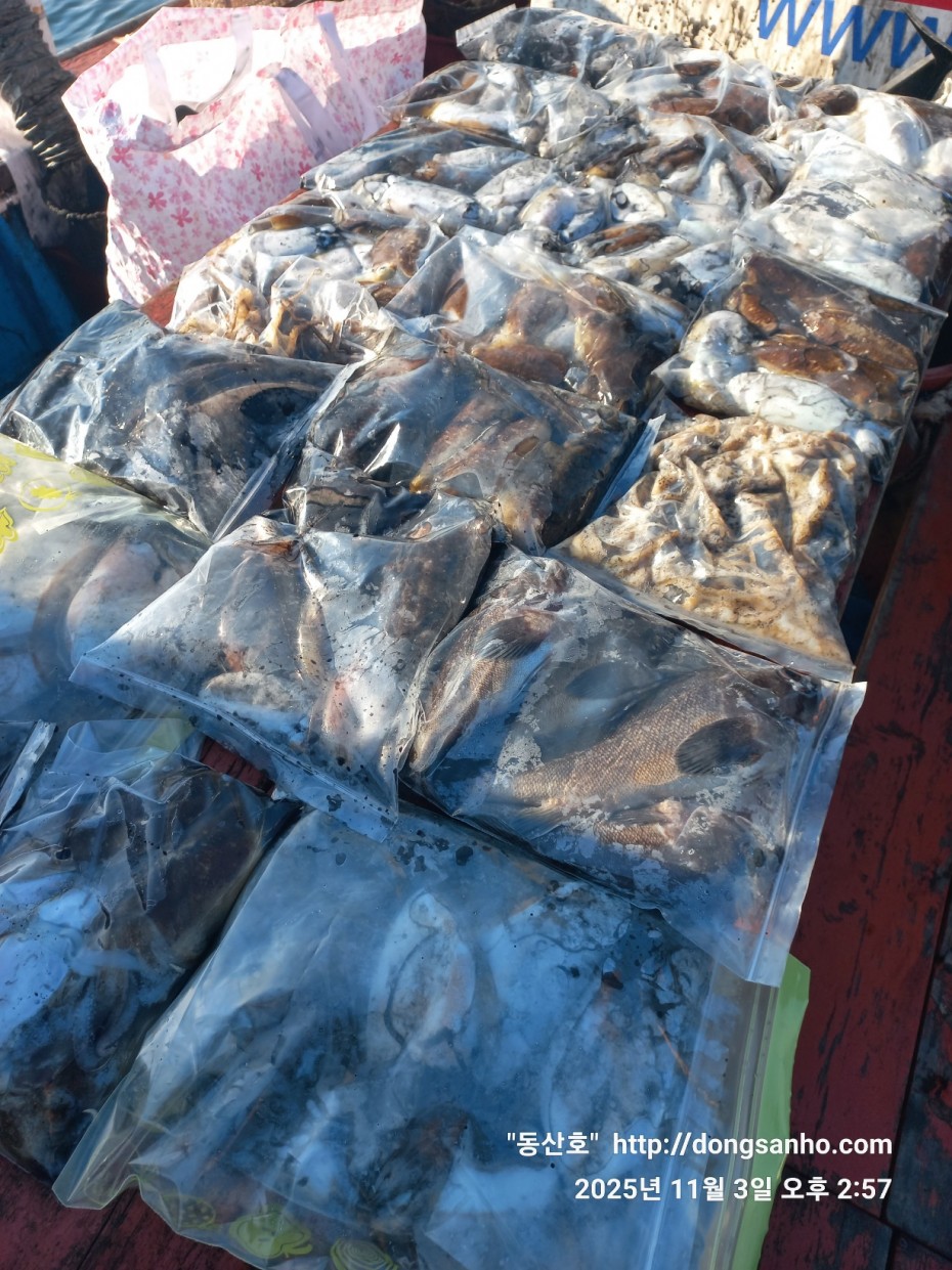 ec09508a30d20fd56dfd984673baca23_1762185