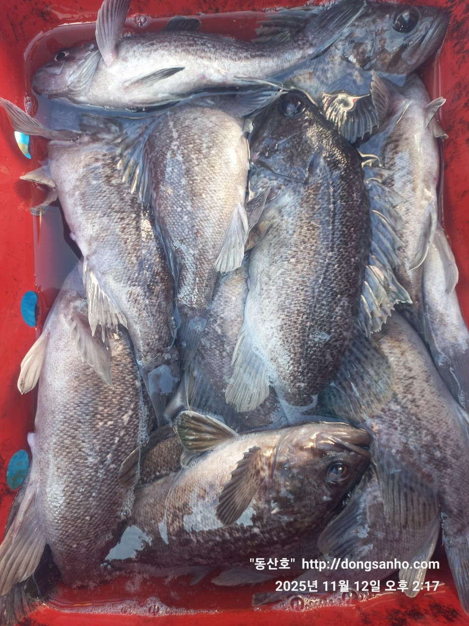 efee4ef6647736092ff8538e2f4cf72d_1762966