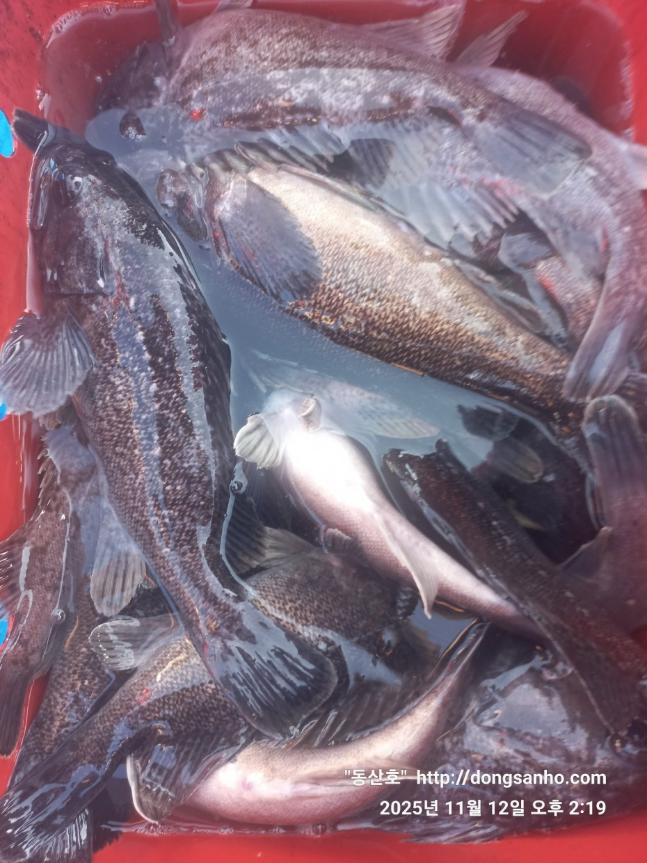 efee4ef6647736092ff8538e2f4cf72d_1762966