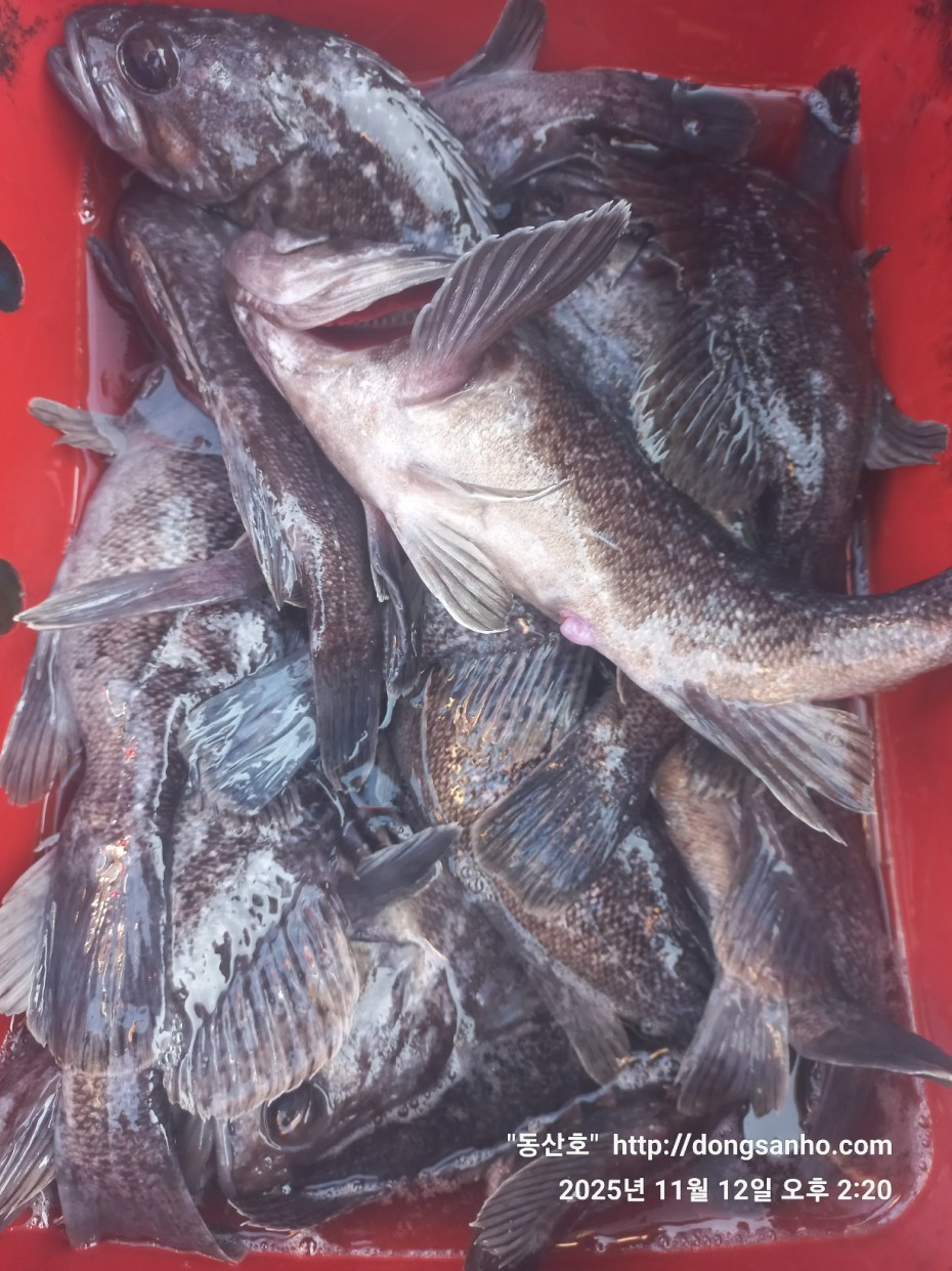 efee4ef6647736092ff8538e2f4cf72d_1762966