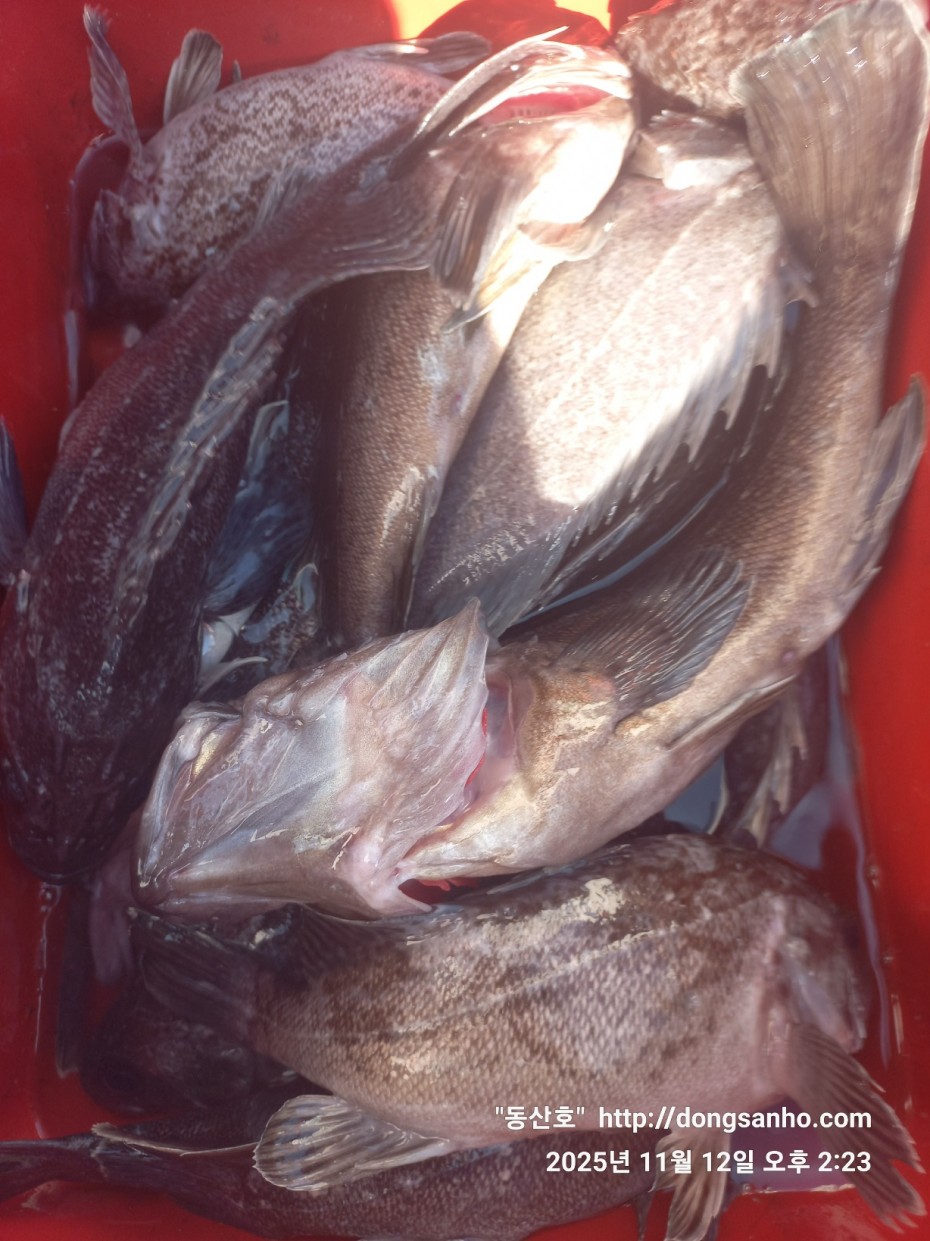 efee4ef6647736092ff8538e2f4cf72d_1762966