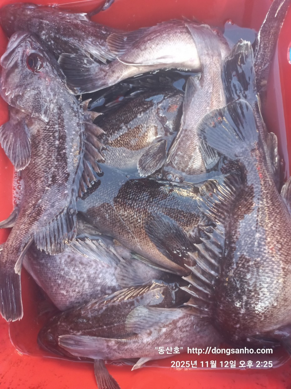 efee4ef6647736092ff8538e2f4cf72d_1762966