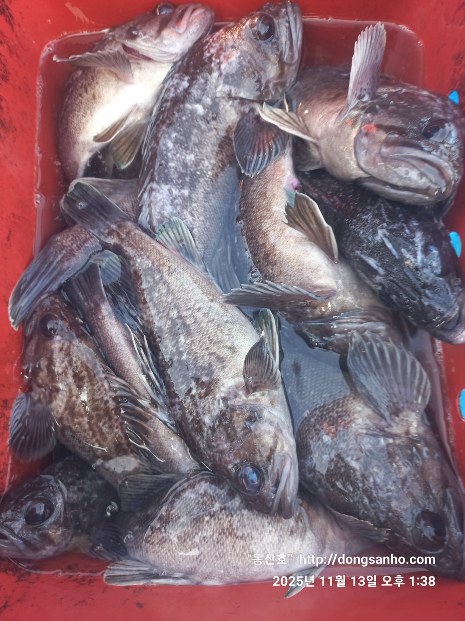 efee4ef6647736092ff8538e2f4cf72d_1763050