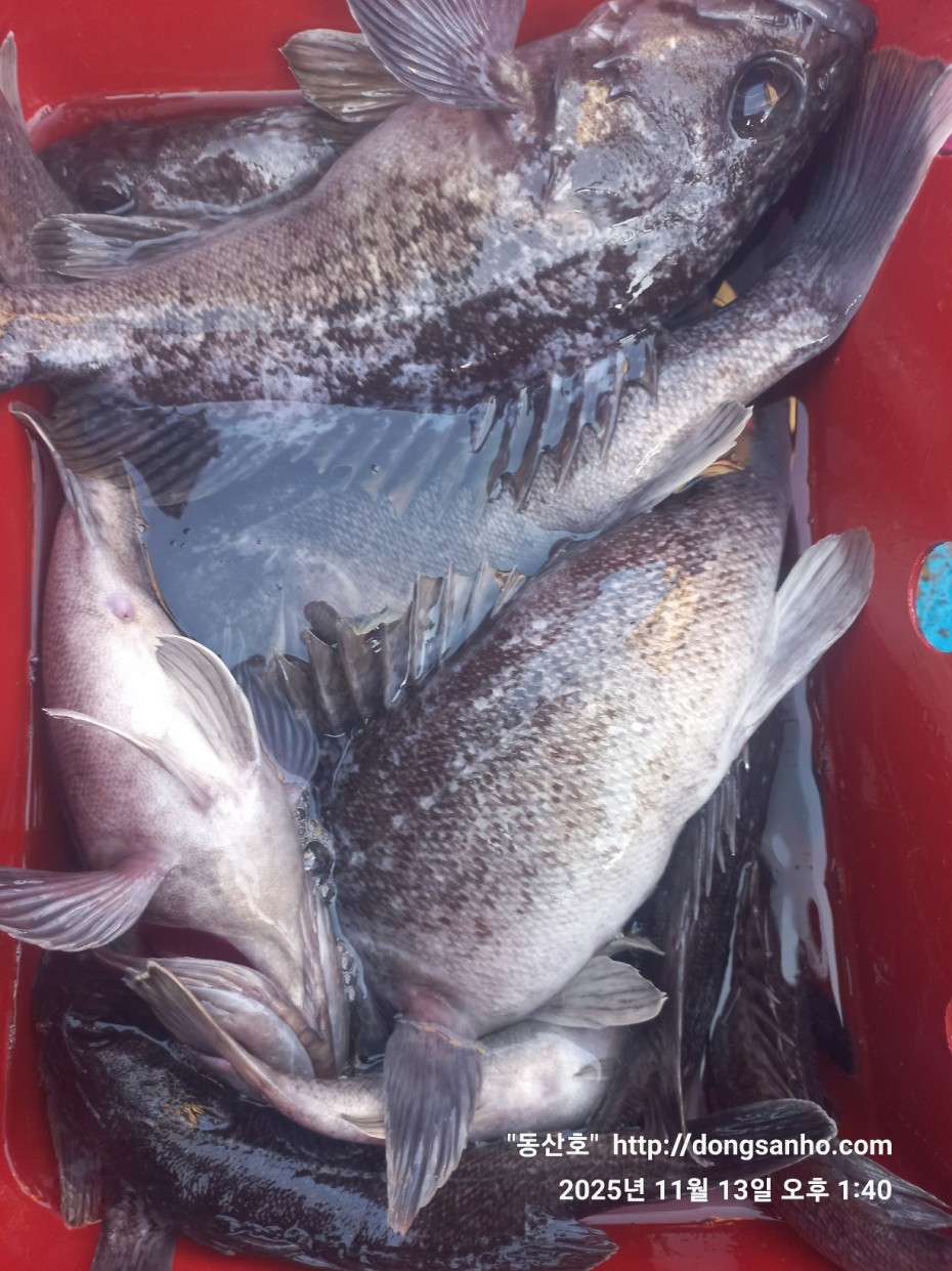 efee4ef6647736092ff8538e2f4cf72d_1763050