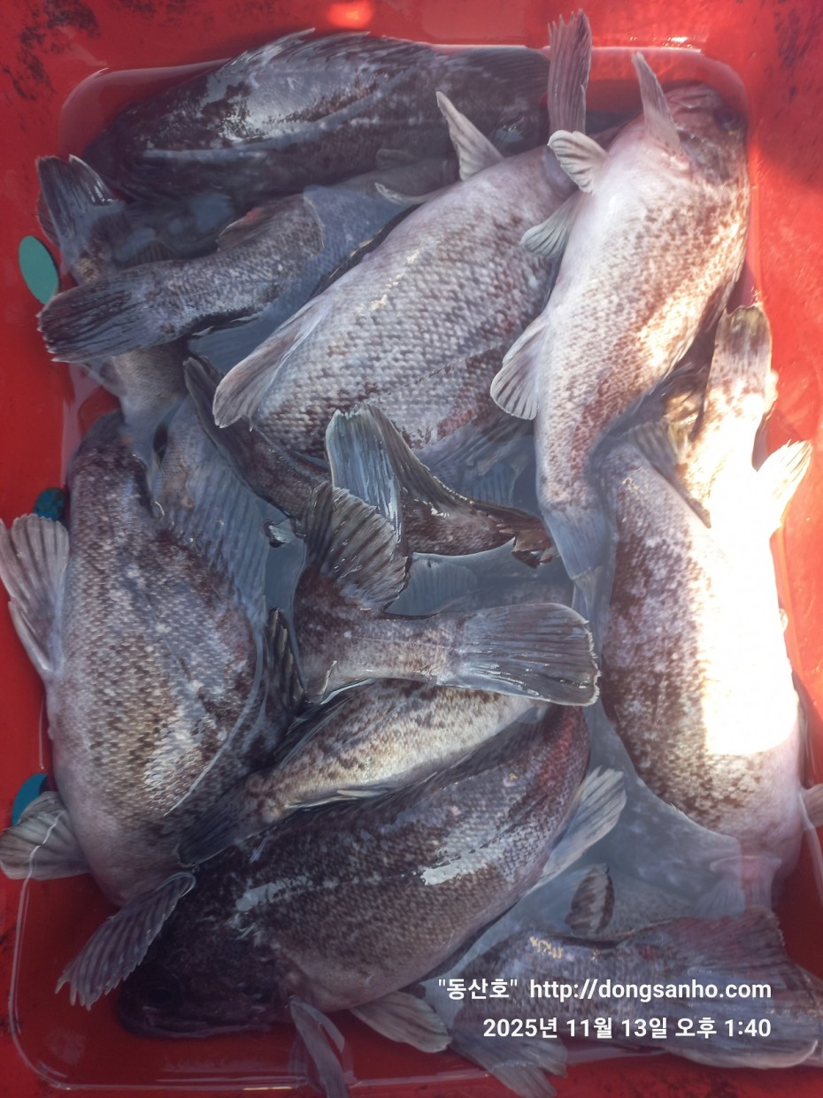 efee4ef6647736092ff8538e2f4cf72d_1763050