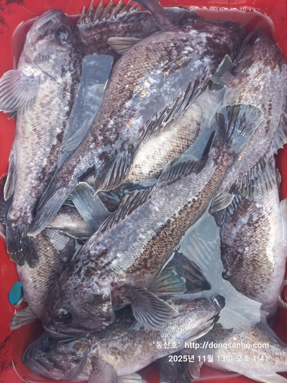 efee4ef6647736092ff8538e2f4cf72d_1763050