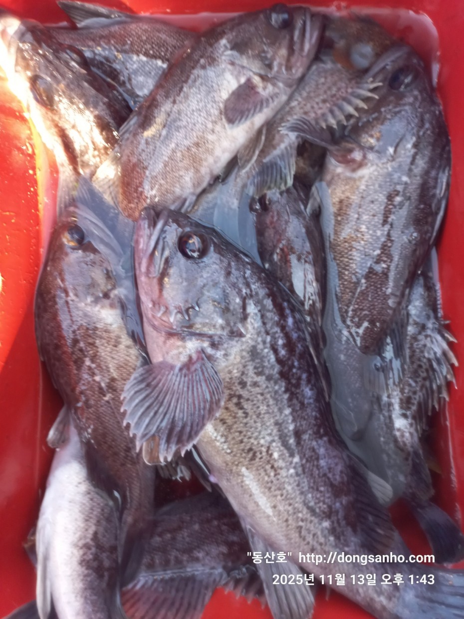 efee4ef6647736092ff8538e2f4cf72d_1763050