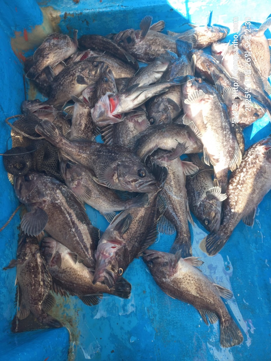 fabdaf0de502a0ded18254e9ca67439d_1764201