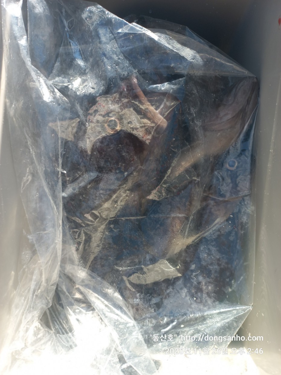 fabdaf0de502a0ded18254e9ca67439d_1764201