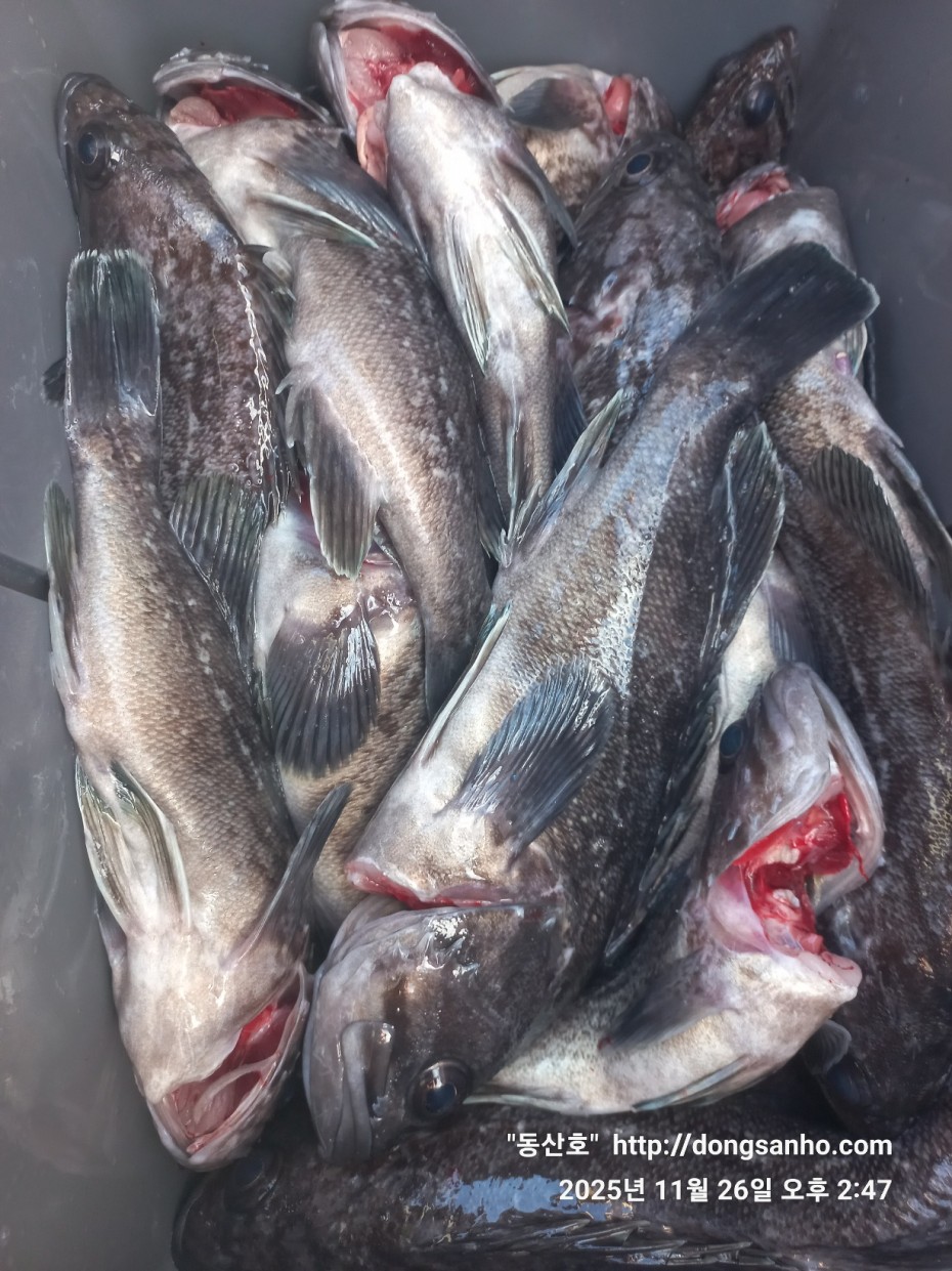 fabdaf0de502a0ded18254e9ca67439d_1764201