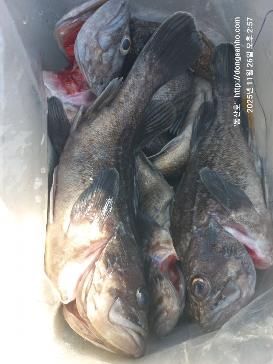 fabdaf0de502a0ded18254e9ca67439d_1764201