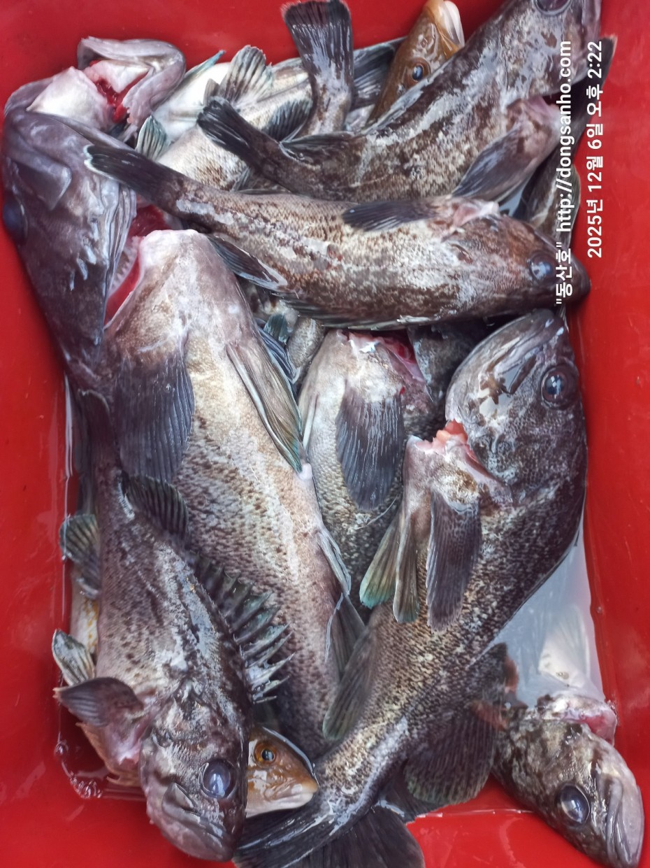 4c6e56204e9603b776046c4a8322d005_1765148