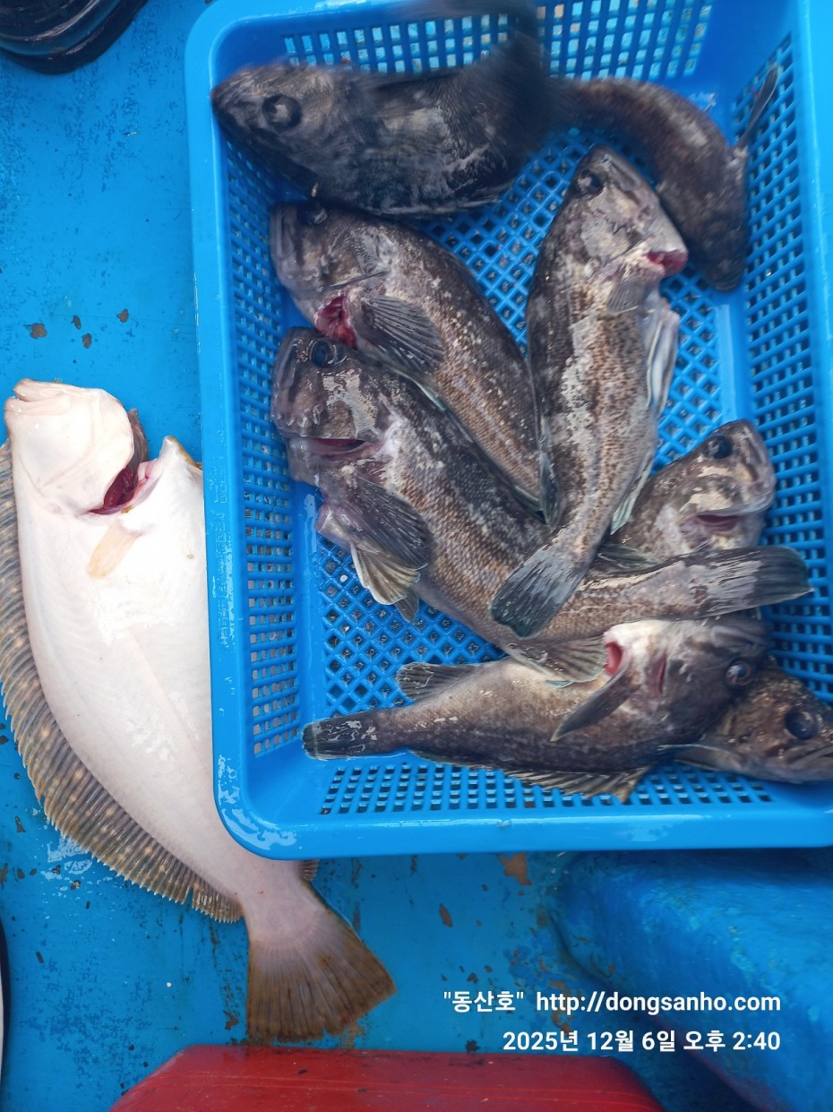 4c6e56204e9603b776046c4a8322d005_1765148