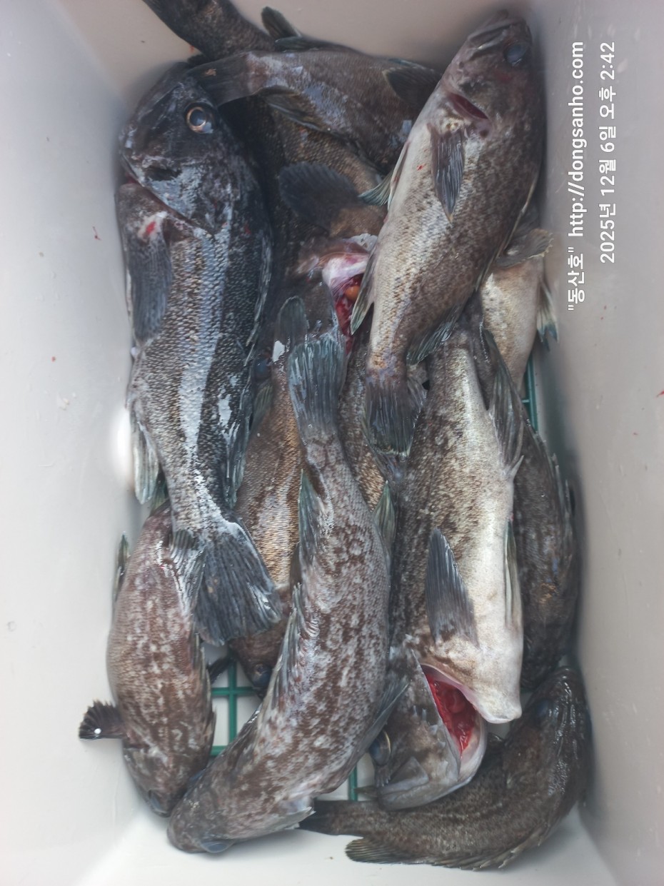 4c6e56204e9603b776046c4a8322d005_1765148