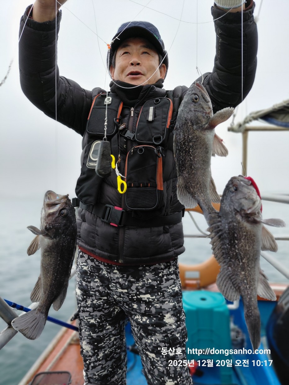 6c49fd0f629f837687cce7c625e8bdfb_1766263