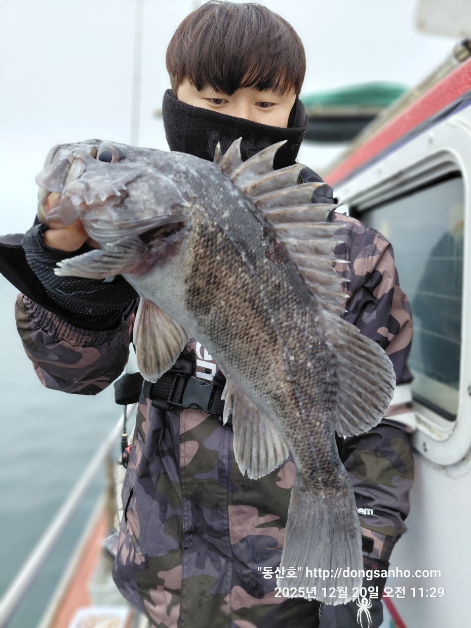 6c49fd0f629f837687cce7c625e8bdfb_1766263