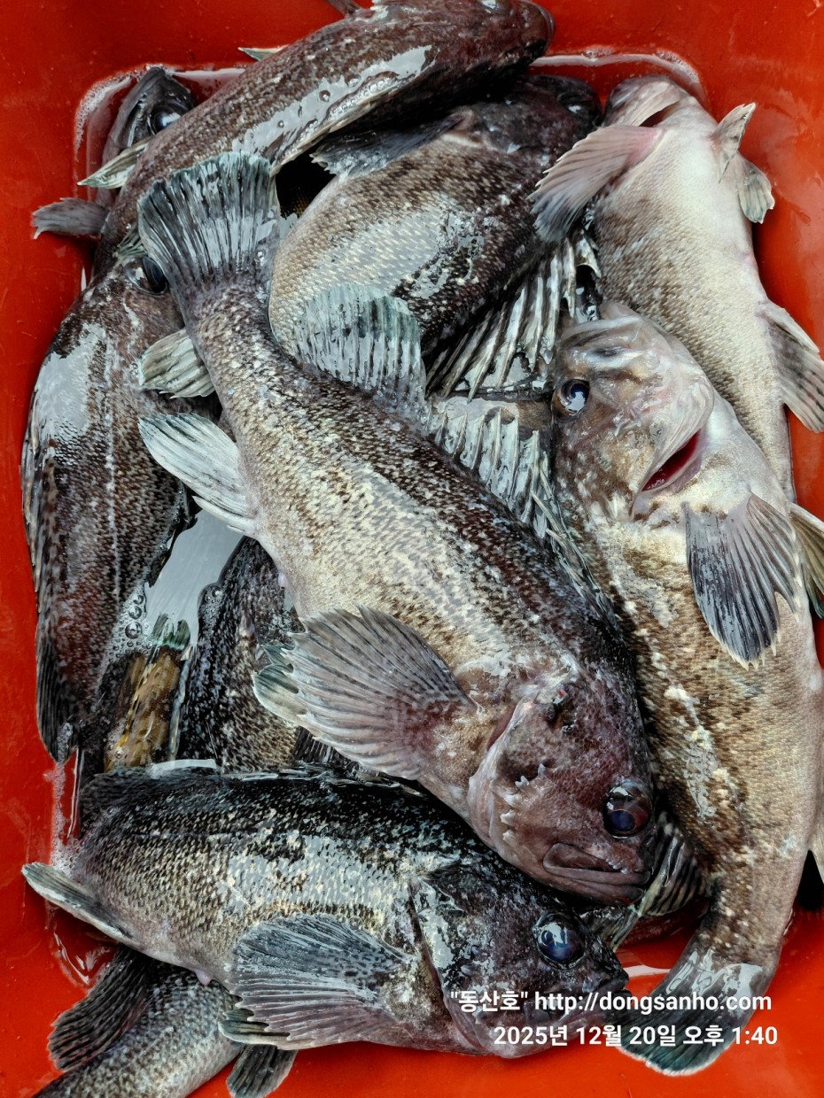 6c49fd0f629f837687cce7c625e8bdfb_1766263