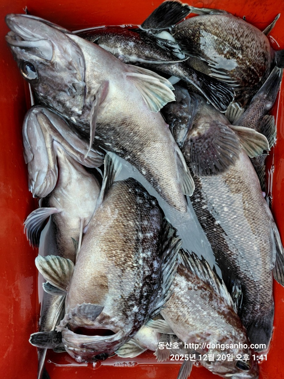 6c49fd0f629f837687cce7c625e8bdfb_1766263