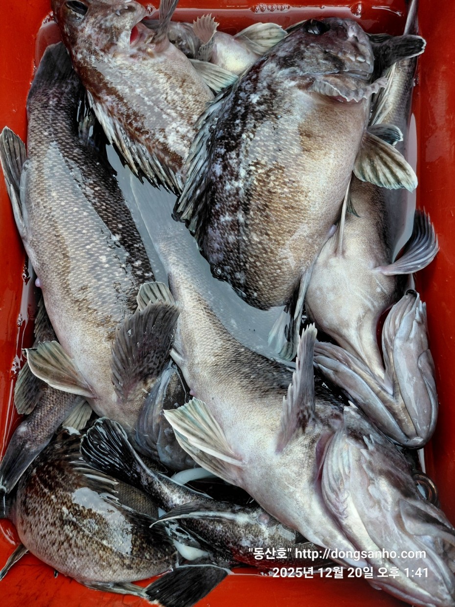 6c49fd0f629f837687cce7c625e8bdfb_1766263