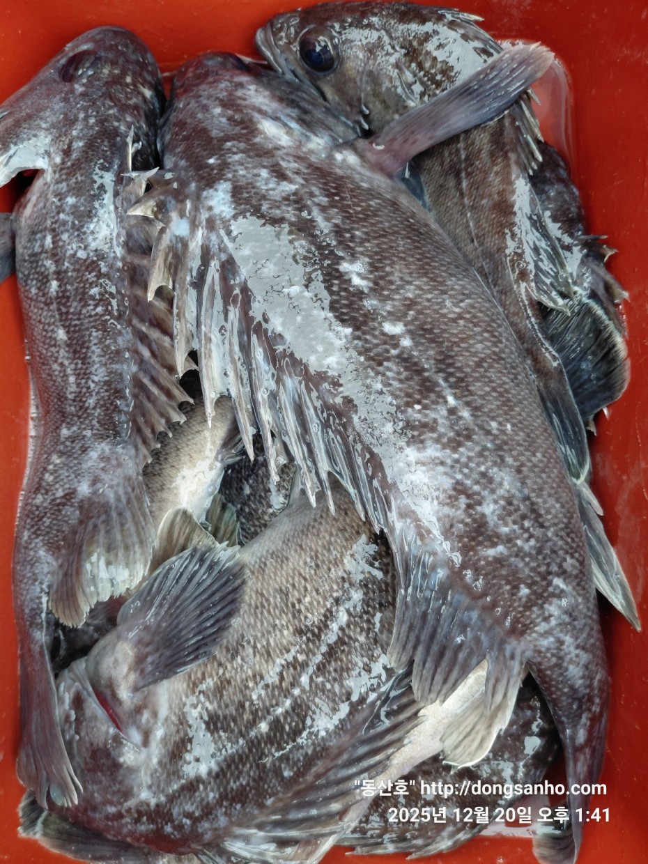 6c49fd0f629f837687cce7c625e8bdfb_1766263