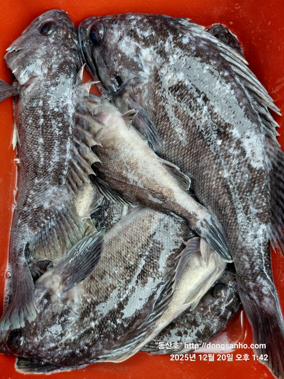 6c49fd0f629f837687cce7c625e8bdfb_1766263