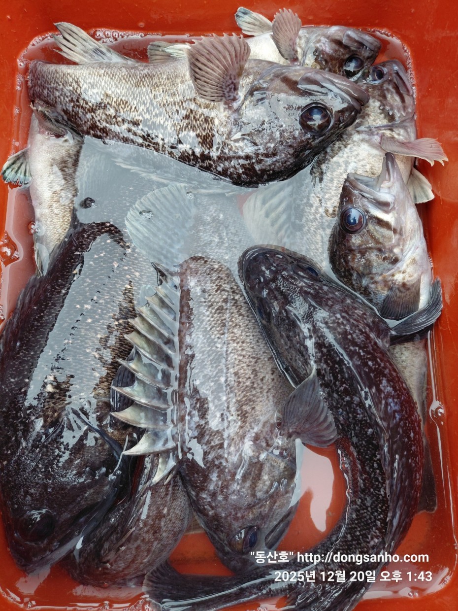 6c49fd0f629f837687cce7c625e8bdfb_1766263