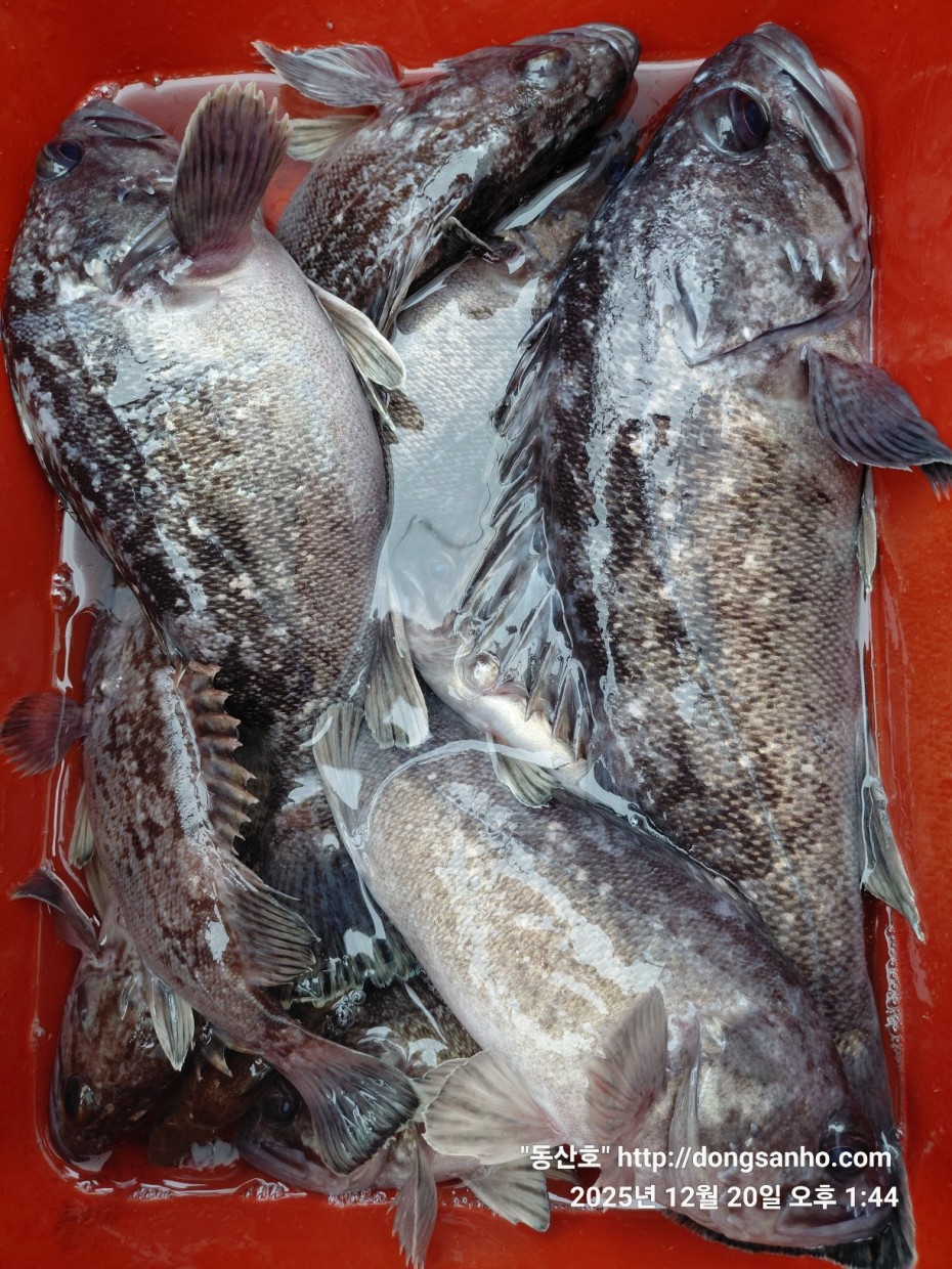 6c49fd0f629f837687cce7c625e8bdfb_1766263