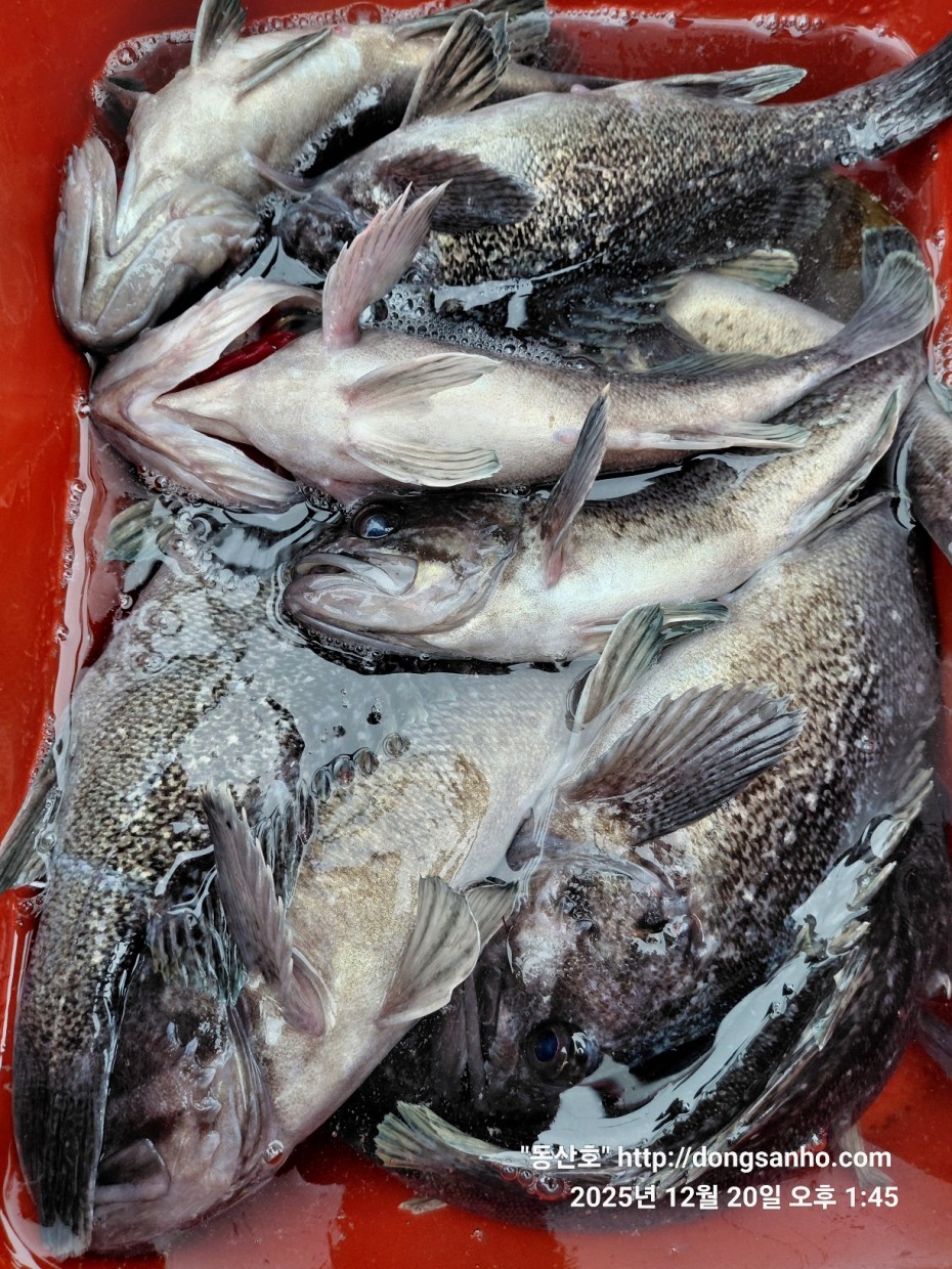 6c49fd0f629f837687cce7c625e8bdfb_1766263