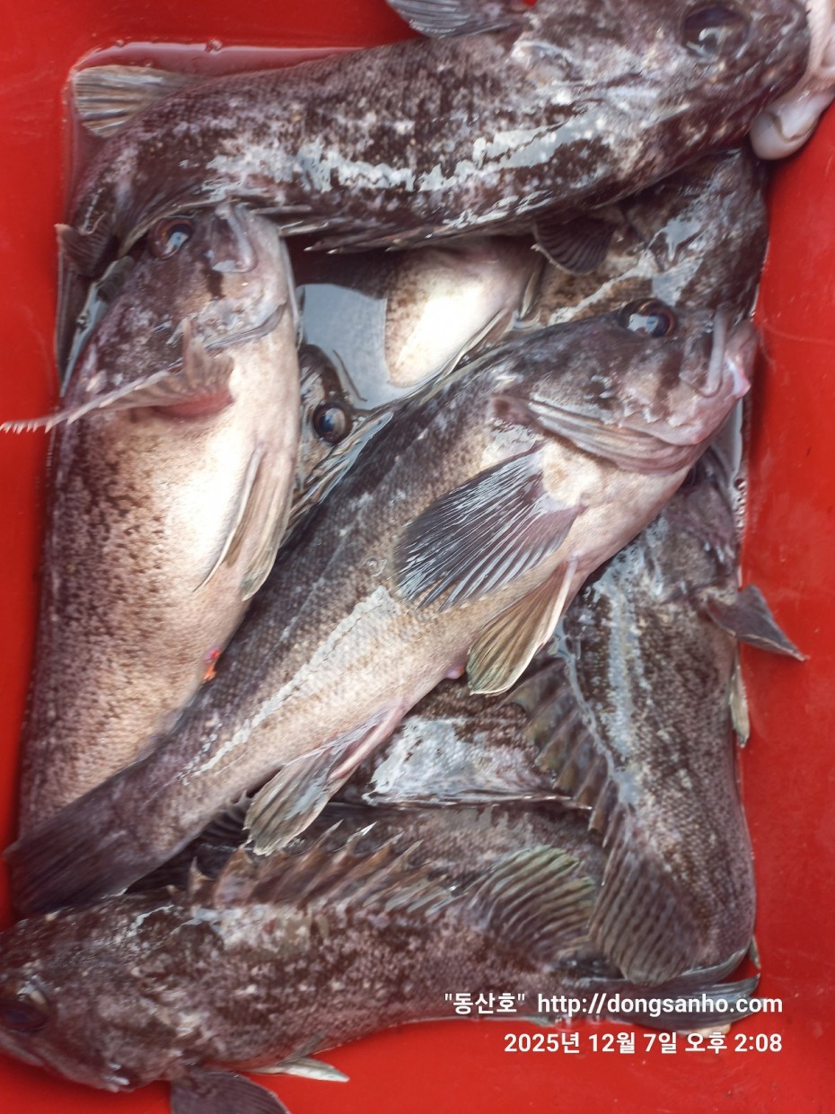 75fa8b21cb67879b08486f82596e85b3_1765160