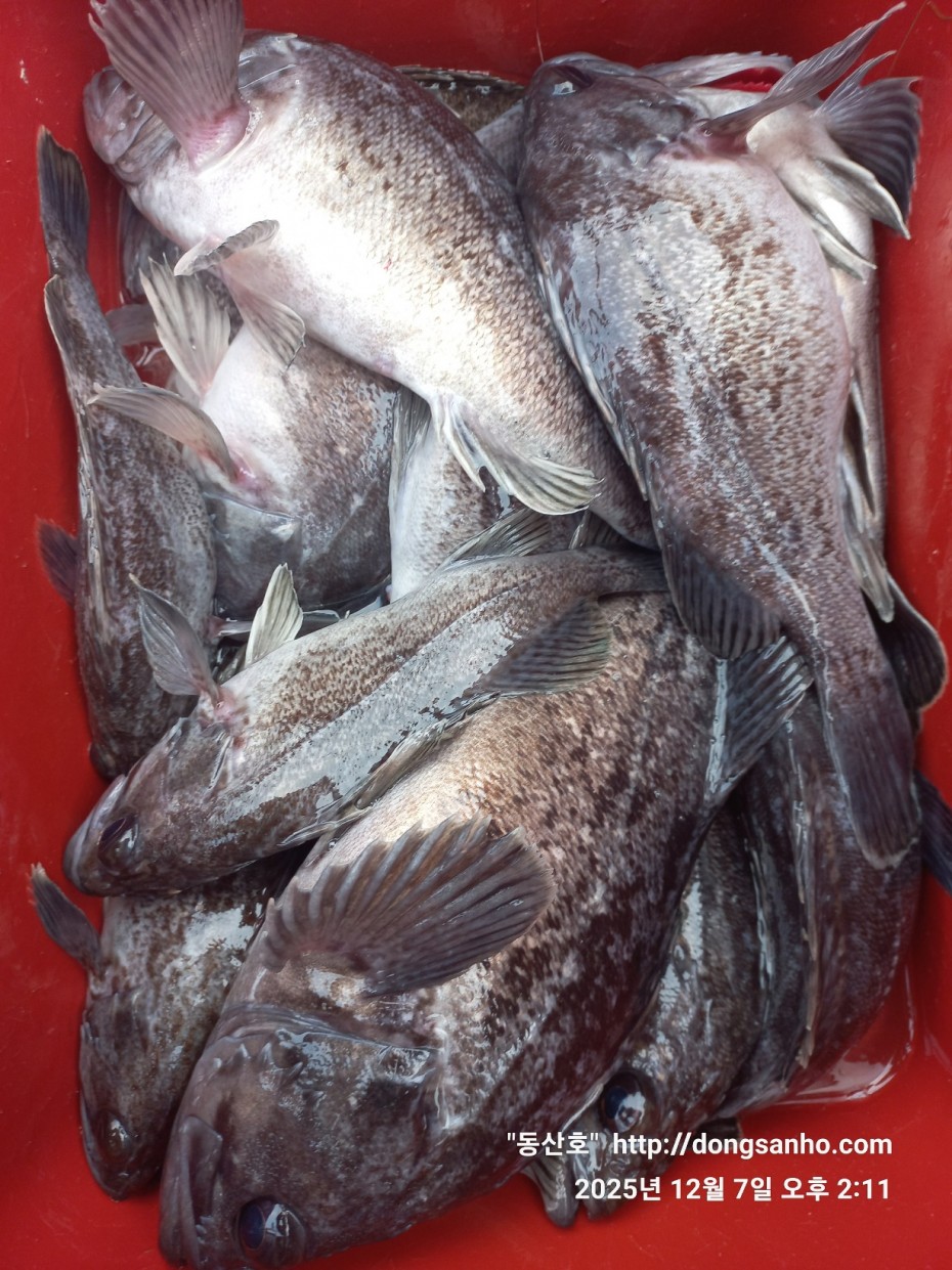 75fa8b21cb67879b08486f82596e85b3_1765160