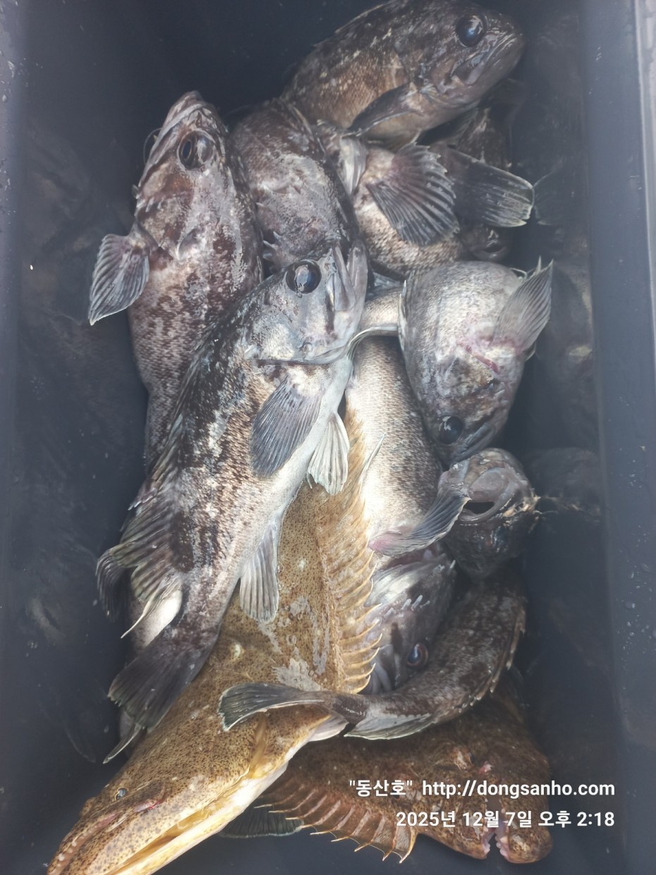 75fa8b21cb67879b08486f82596e85b3_1765161