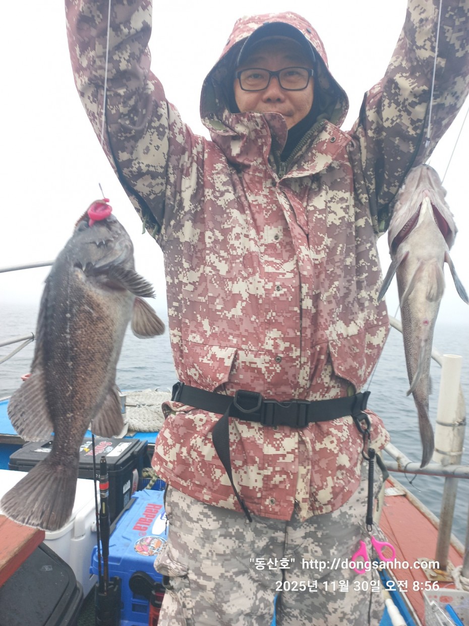 cb13cc84ed81f08c4db030690d1edadc_1764519