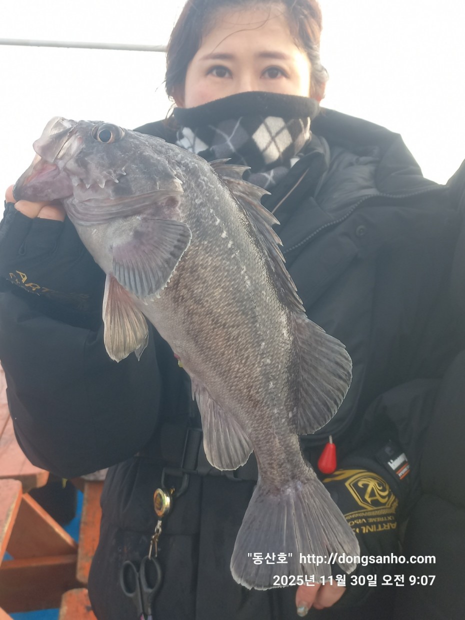 cb13cc84ed81f08c4db030690d1edadc_1764519