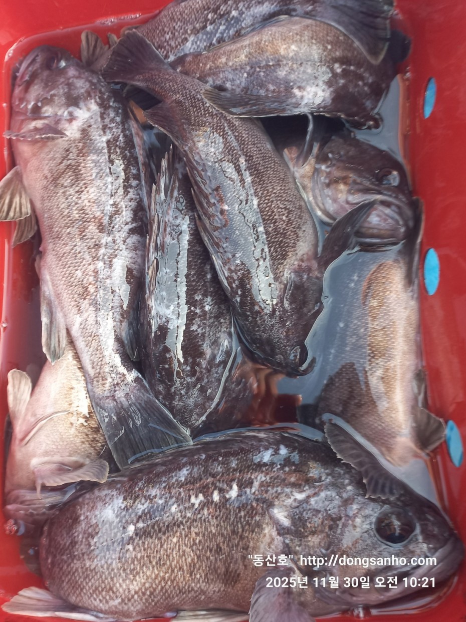 cb13cc84ed81f08c4db030690d1edadc_1764519