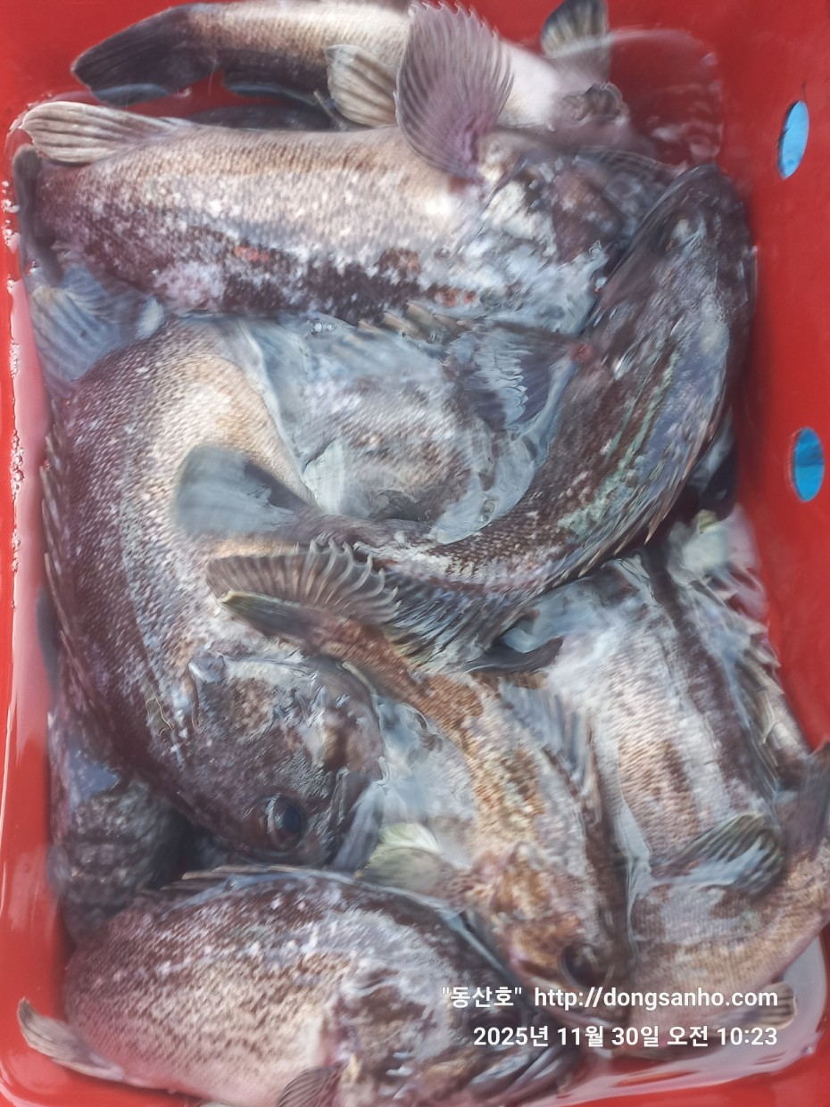 cb13cc84ed81f08c4db030690d1edadc_1764519