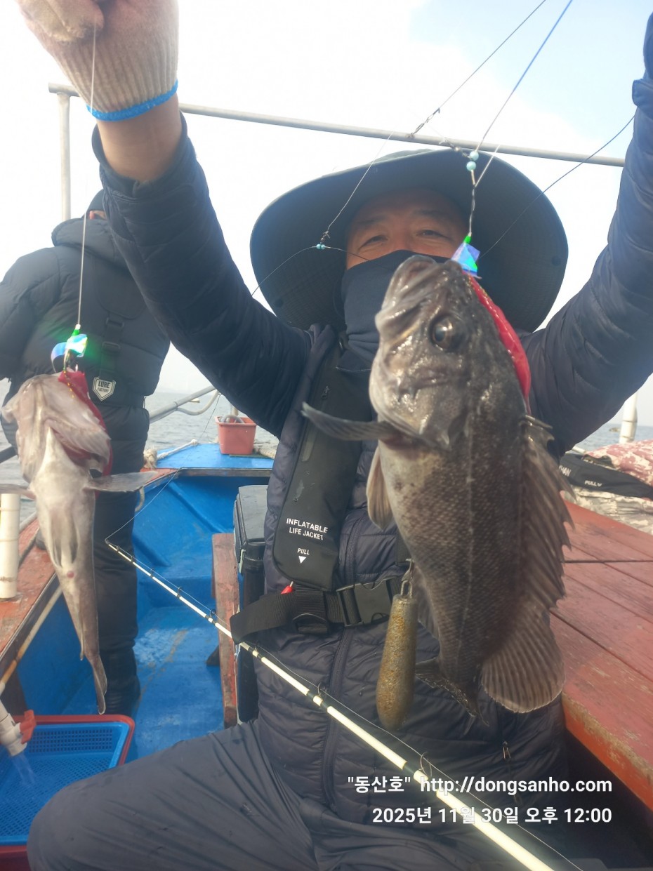 cb13cc84ed81f08c4db030690d1edadc_1764519