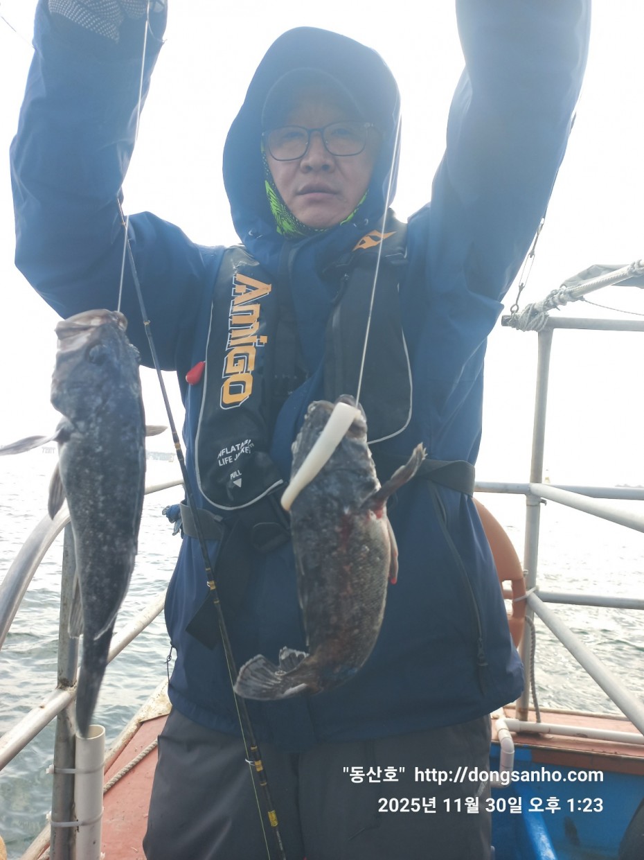 cb13cc84ed81f08c4db030690d1edadc_1764519