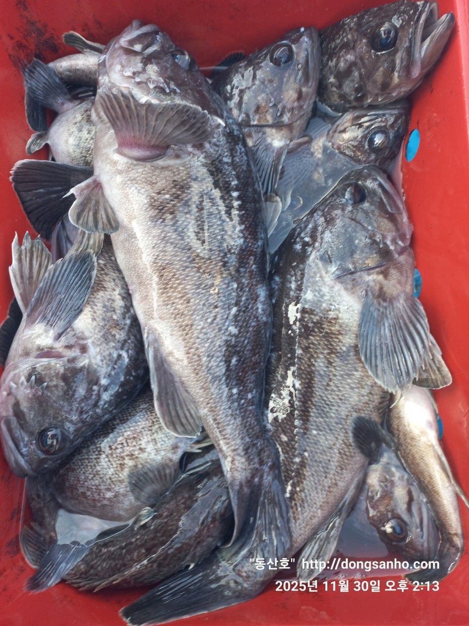 cb13cc84ed81f08c4db030690d1edadc_1764519