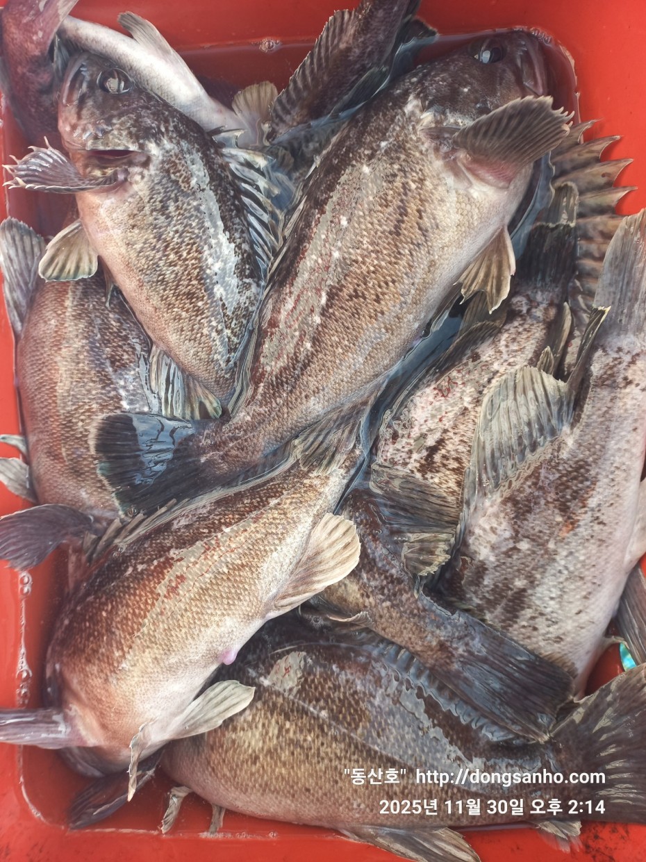 cb13cc84ed81f08c4db030690d1edadc_1764519