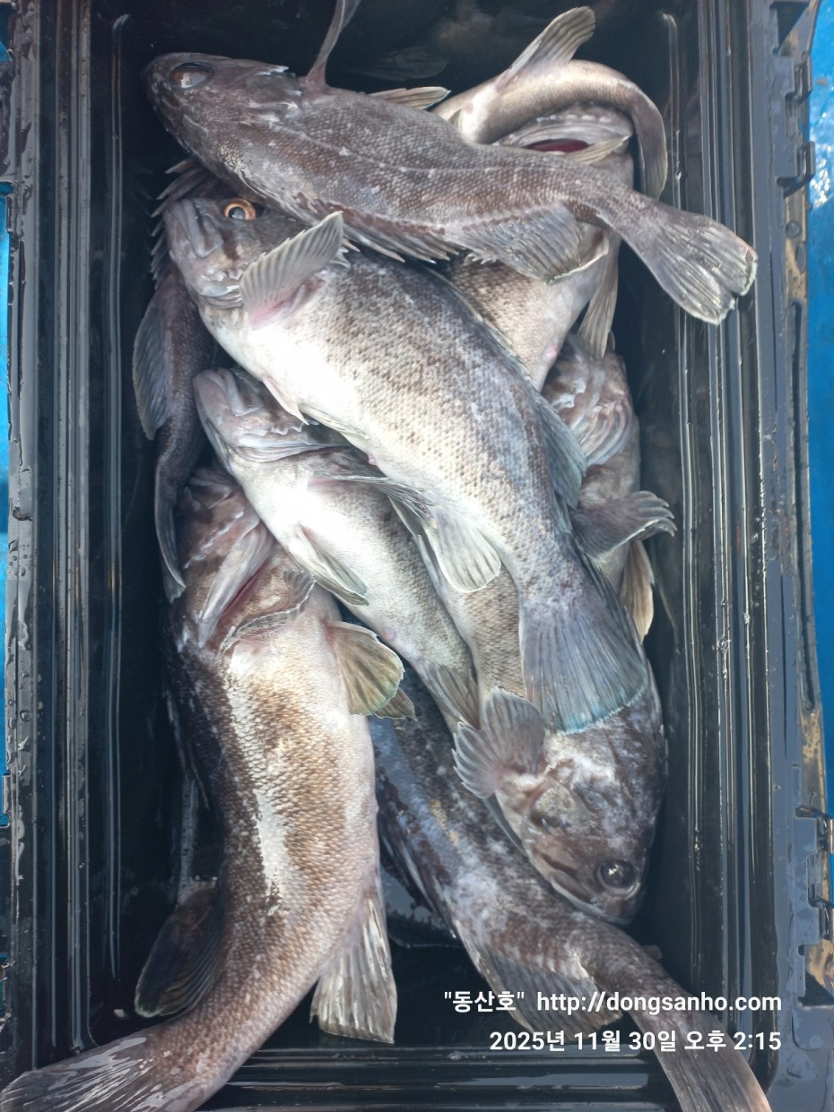 cb13cc84ed81f08c4db030690d1edadc_1764519