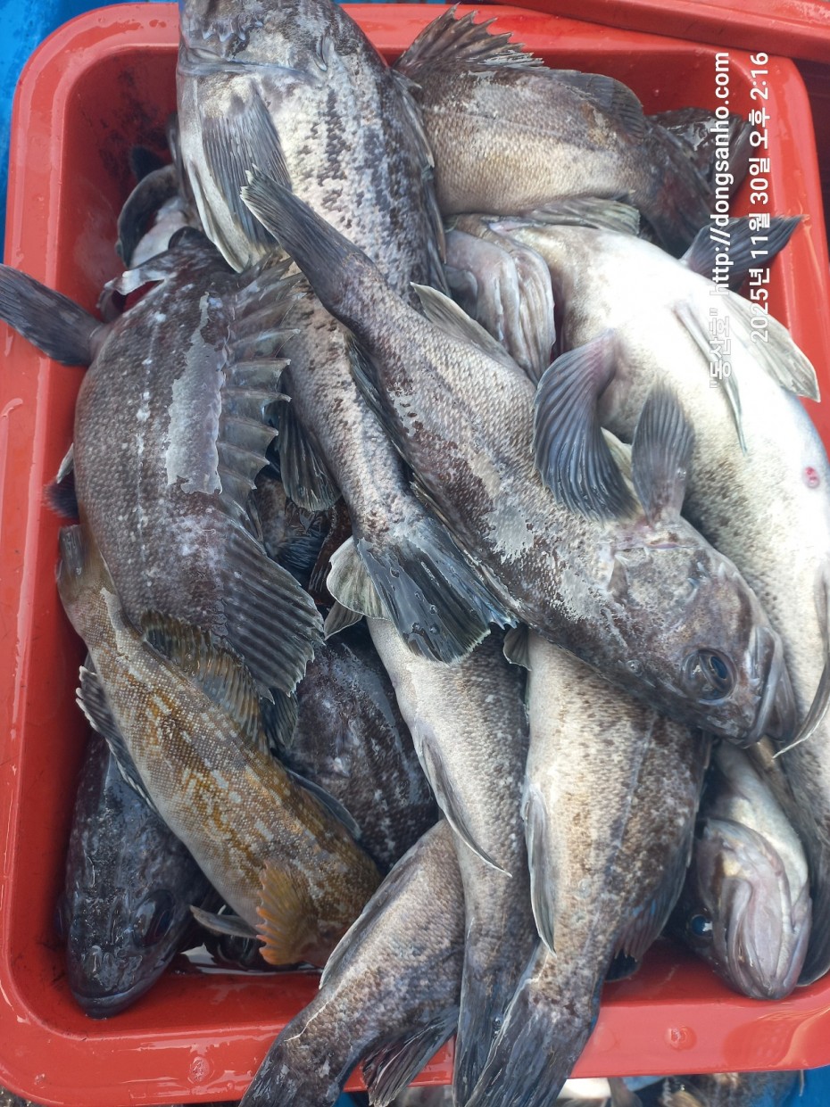 cb13cc84ed81f08c4db030690d1edadc_1764519