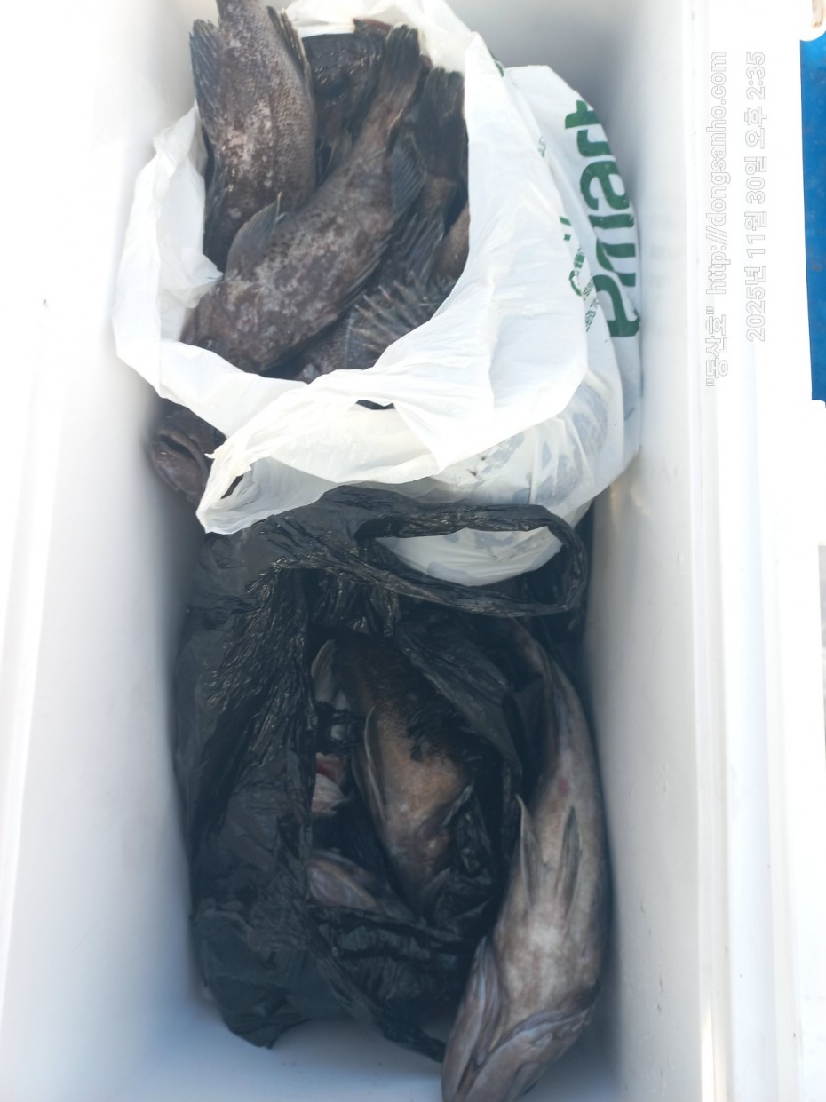 cb13cc84ed81f08c4db030690d1edadc_1764519