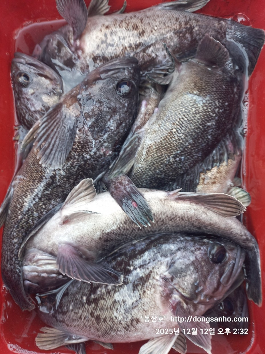 ee45a88a83aca2ba31c9307ad485821f_1765811