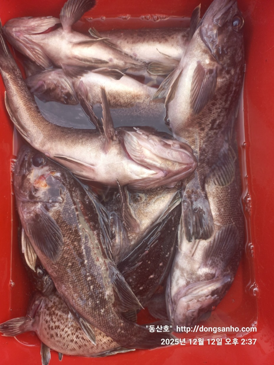 ee45a88a83aca2ba31c9307ad485821f_1765811