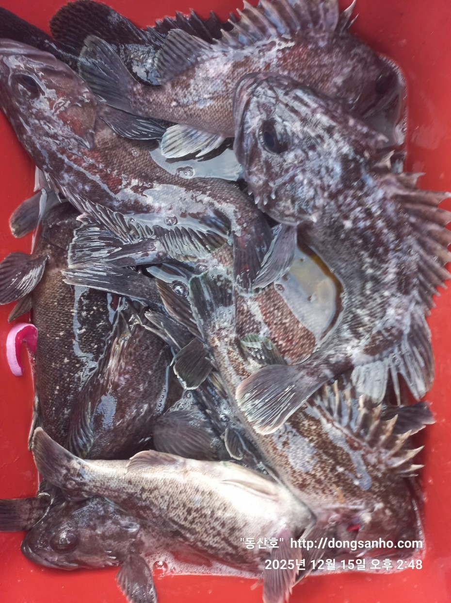 ee45a88a83aca2ba31c9307ad485821f_1765976