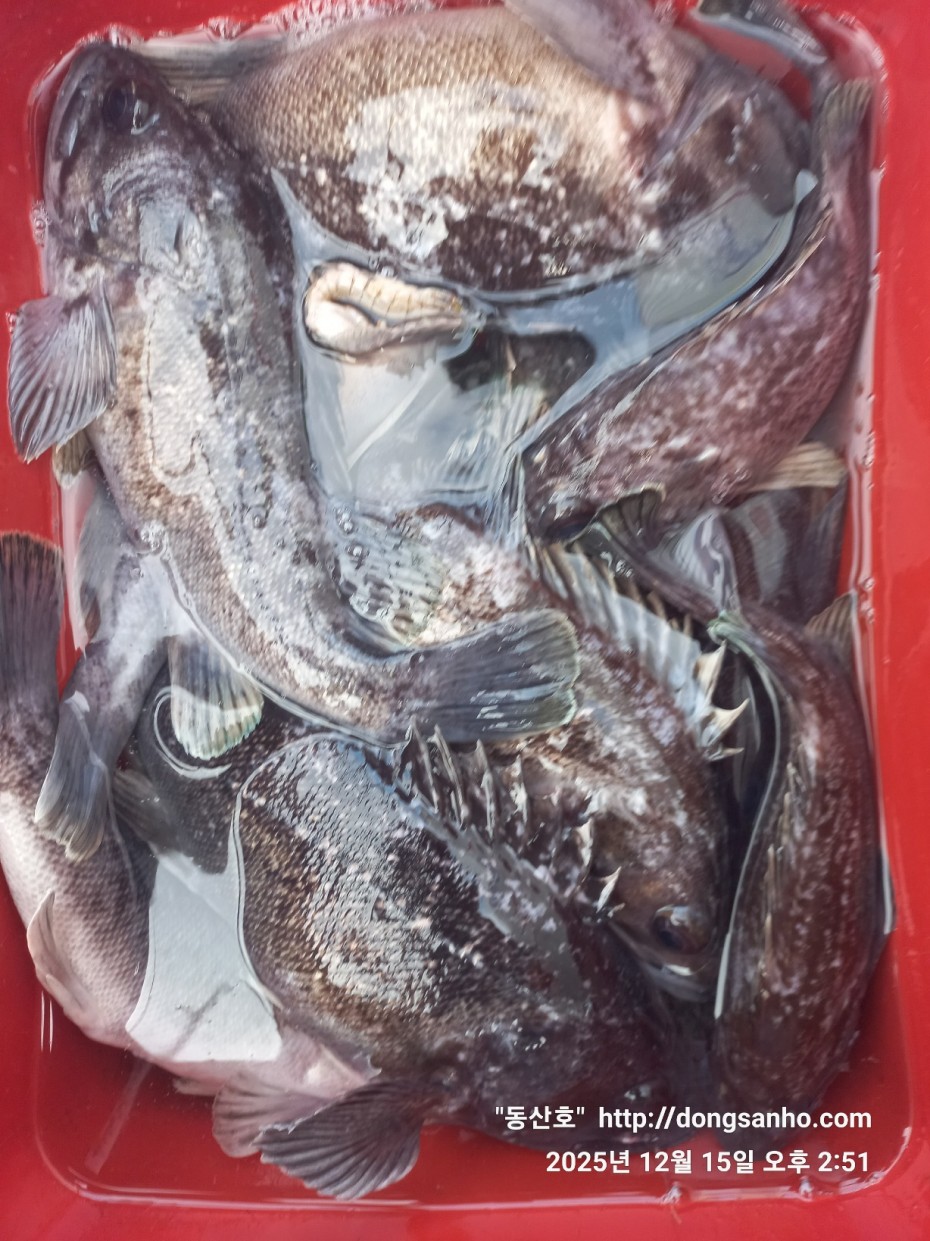 ee45a88a83aca2ba31c9307ad485821f_1765976